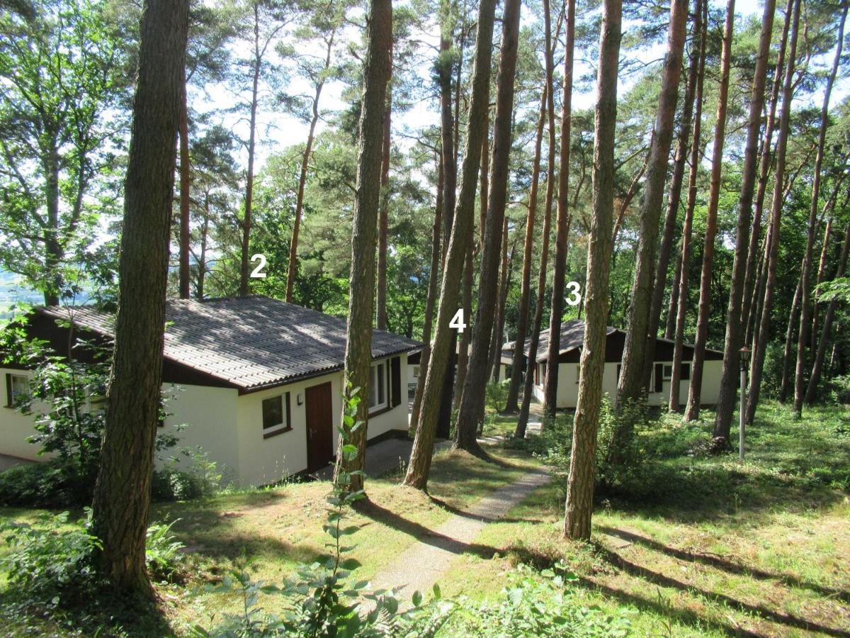 Feriendorf Mengshausen Niederaula 外观 照片