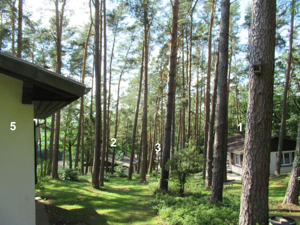 Feriendorf Mengshausen Niederaula 外观 照片