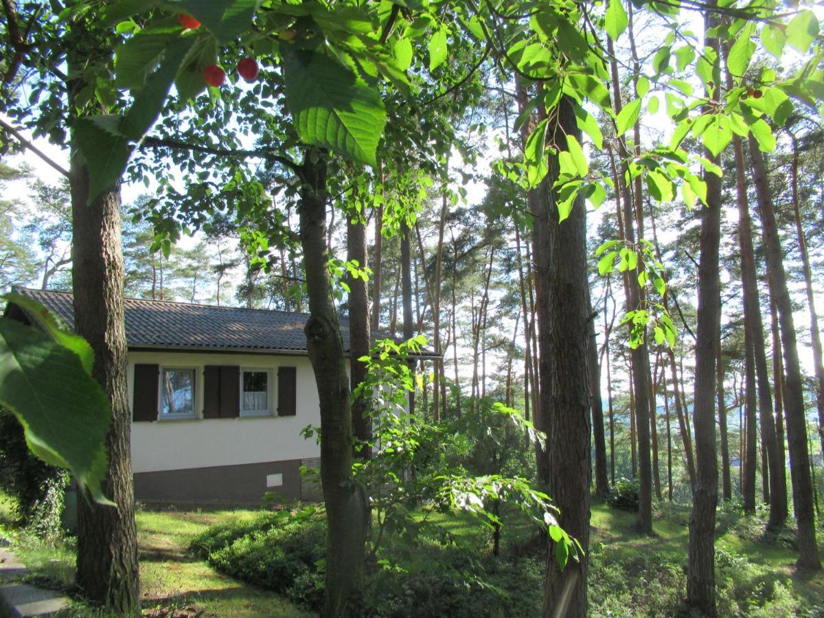 Feriendorf Mengshausen Niederaula 外观 照片